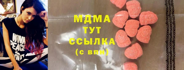 индика Заволжье