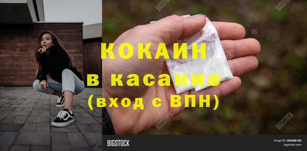 индика Заволжье