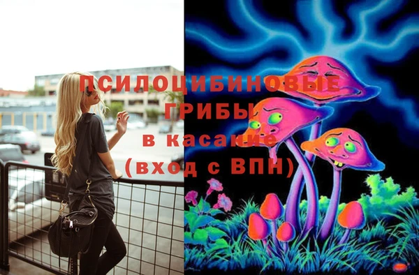 гидра Заводоуковск
