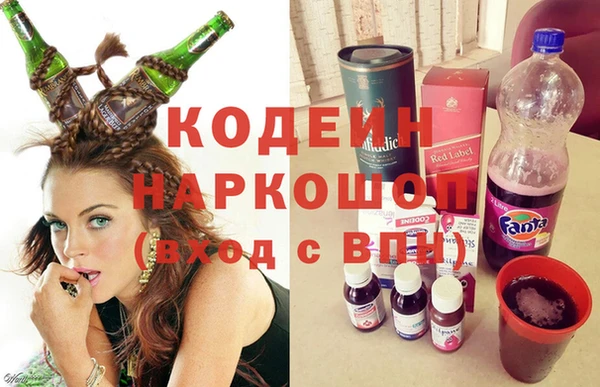 гидра Заводоуковск