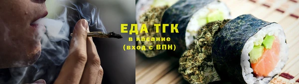 гидра Заводоуковск