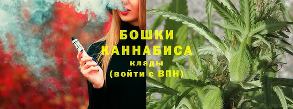 индика Заволжье