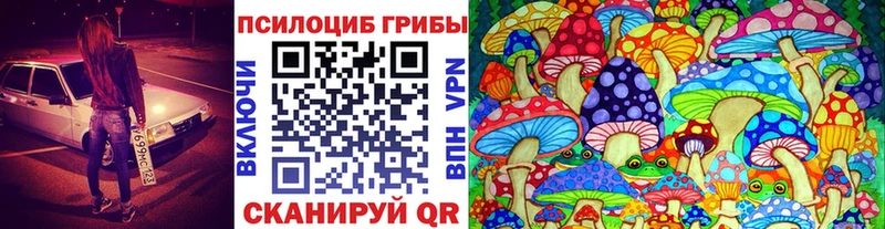 гидра вход  Кяхта  Псилоцибиновые грибы мухоморы 